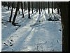 DSCF0032.JPG