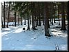 DSCF0034.JPG