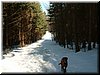DSCF0035.JPG