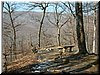 DSCF0036.JPG