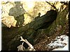 DSCF0040.JPG
