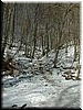 DSCF0050.JPG