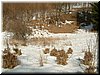 DSCF0054.JPG