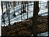 DSCF0060.JPG