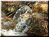 DSCF0068.JPG