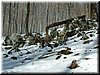DSCF0077.JPG