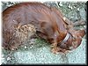DSCF0090.JPG