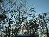 n_dscf0003.jpg