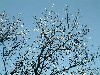 n_dscf0004.jpg