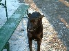 n_dscf0005.jpg