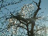 n_dscf0007.jpg
