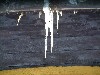 n_dscf0010.jpg