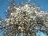 n_dscf0011.jpg