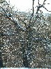 n_dscf0018.jpg