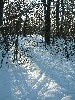 n_dscf0022.jpg