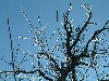 n_dscf0023.jpg