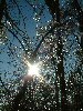 n_dscf0025.jpg
