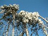 n_dscf0026.jpg