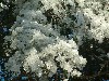 n_dscf0027.jpg