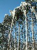n_dscf0029.jpg