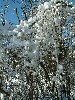 n_dscf0032.jpg