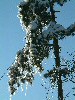 n_dscf0033.jpg