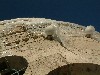 n_dscf0058.jpg