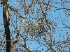 n_dscf0065.jpg