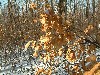 n_dscf0066.jpg