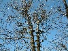 n_dscf0067.jpg