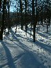 n_dscf0070.jpg