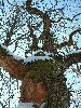 n_dscf0087.jpg
