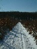 n_dscf0091.jpg