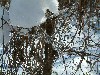 n_dscf0098.jpg