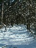 n_dscf0099.jpg