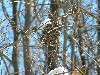 n_dscf0100.jpg