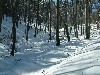 n_dscf0106.jpg