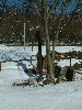 n_dscf0110.jpg