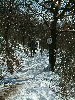 n_dscf0113.jpg