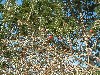 n_dscf0115.jpg
