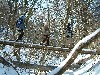 n_dscf0118.jpg