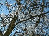 n_dscf0122.jpg