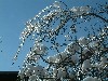 n_dscf0123.jpg