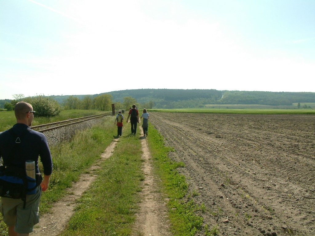 DSCF0008.JPG