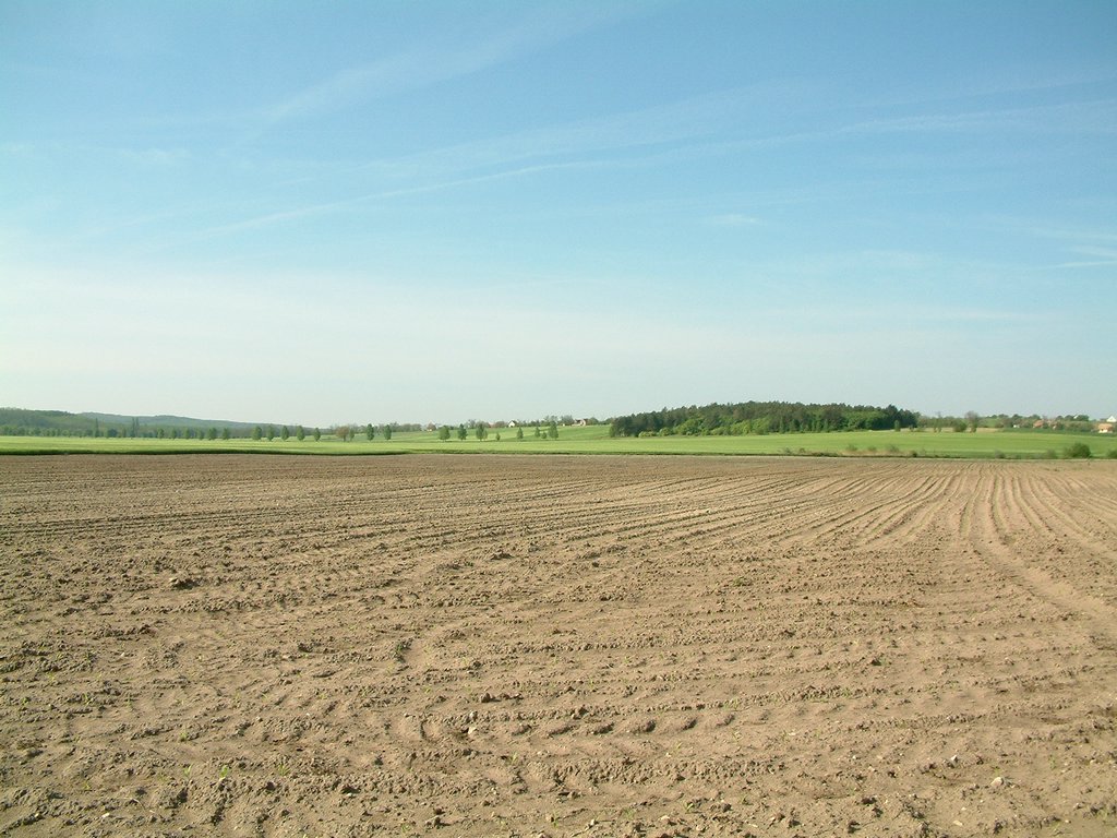 DSCF0009.JPG