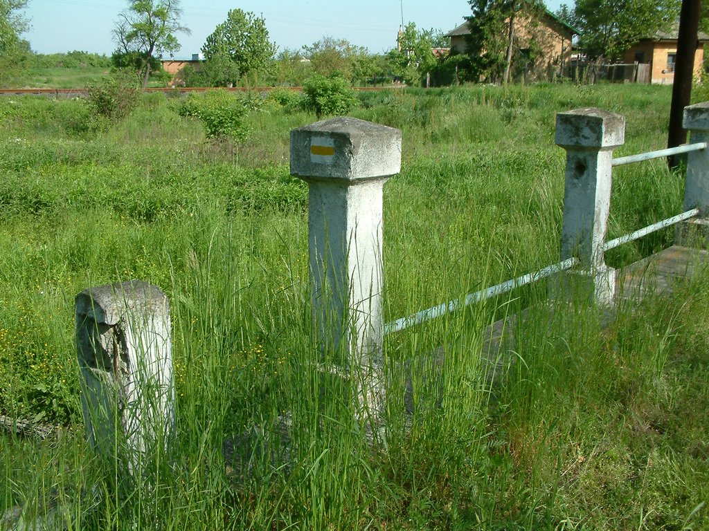 DSCF0011.JPG