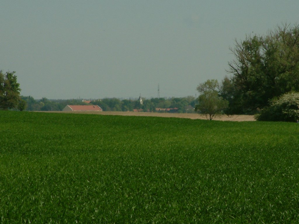 DSCF0016.JPG