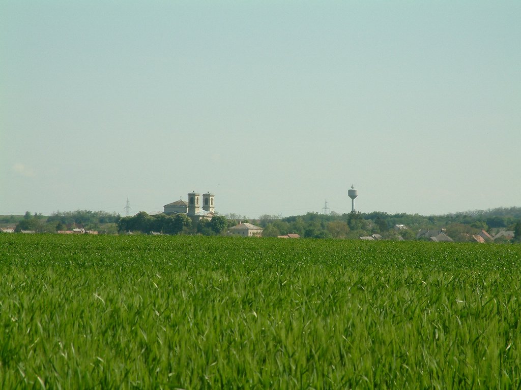 DSCF0017.JPG