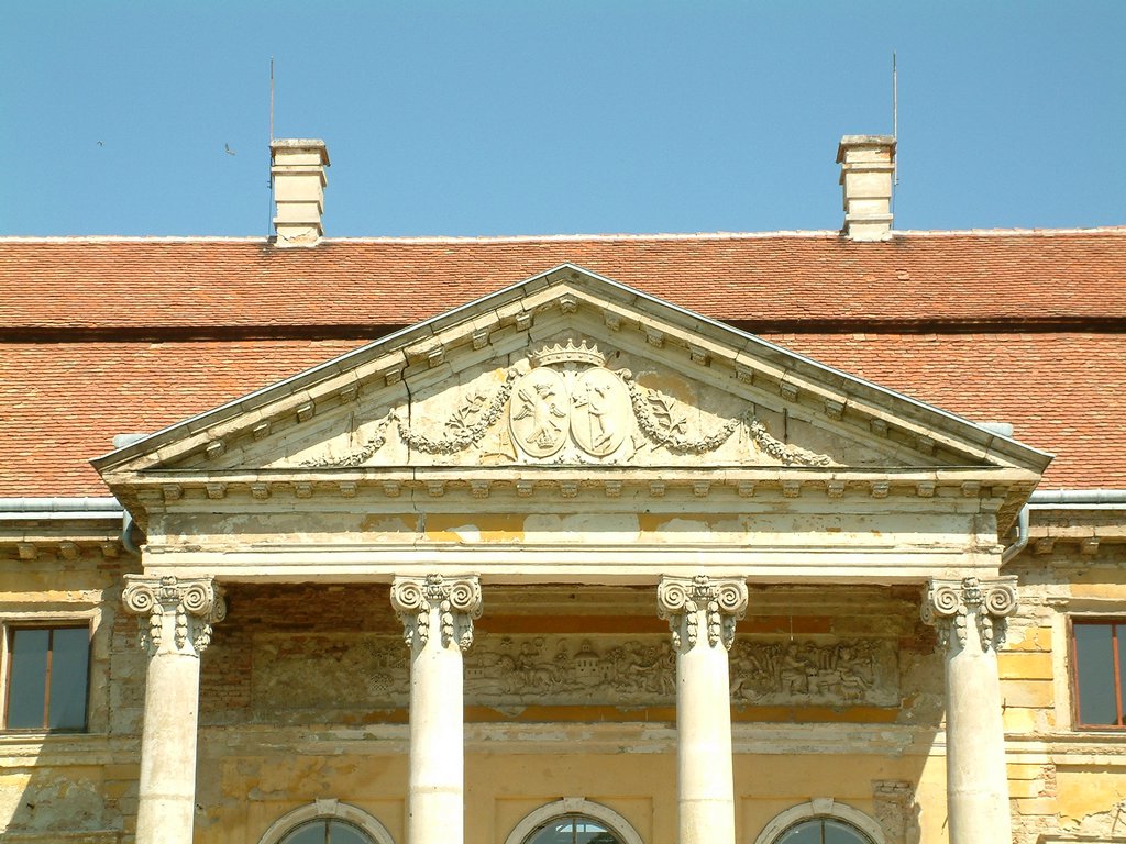 DSCF0035.JPG