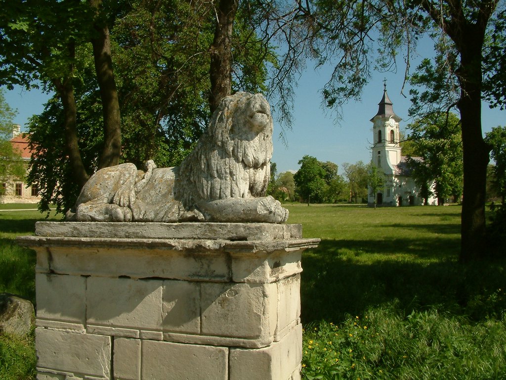 DSCF0039.JPG